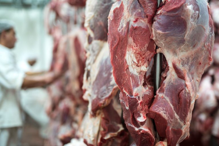 Bahrain meat trade secrets: trusted partners in livestock export
