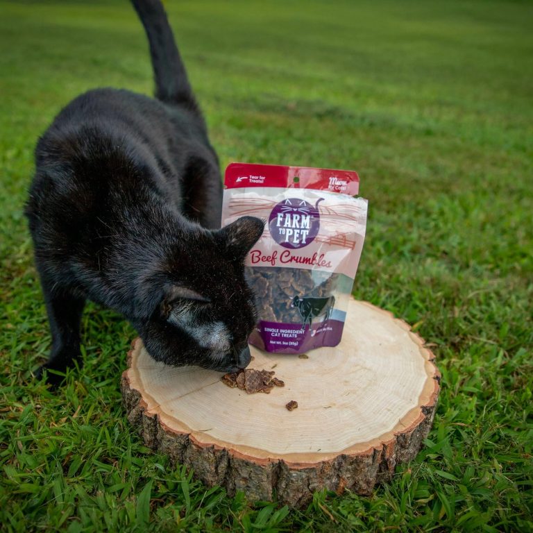 Smart picks for happy pets and smooth shopping