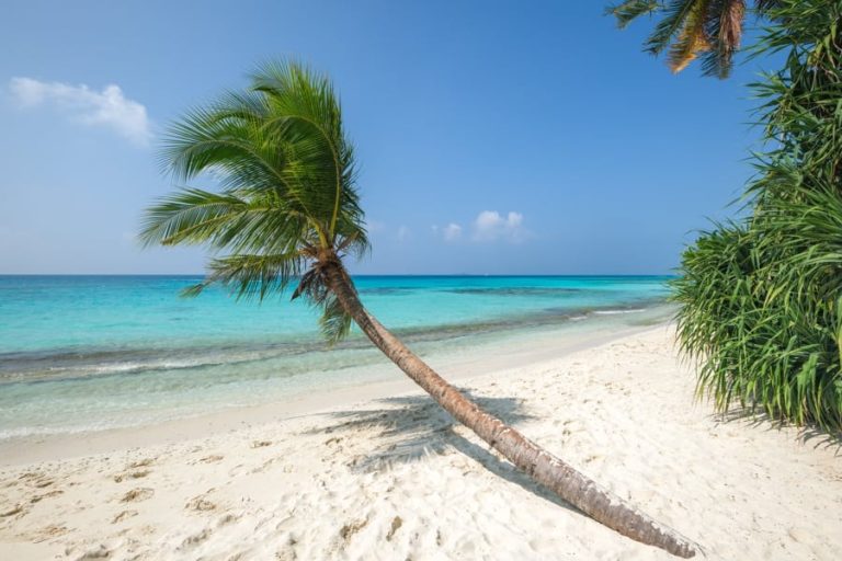 Smart ways to save on travel in the USA