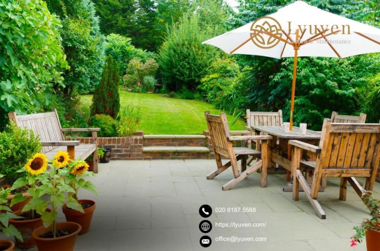 Find Reliable Yard Care Nearby: Practical Tips and Services Find Reliable Yard Care Nearby: Practical Tips and Services