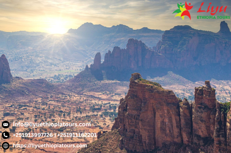 Discover Addis Ababa: A Rich City Tour Experience