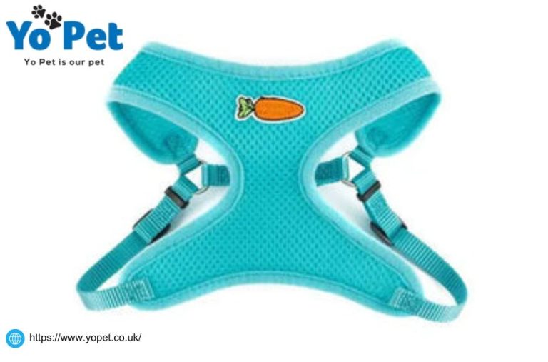 Smart gear for pet care at great prices