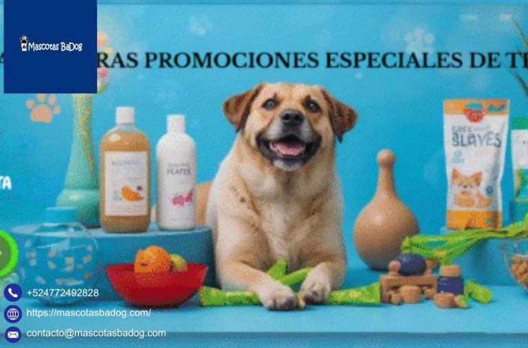 Servicios para perros en León con cuidado profesional