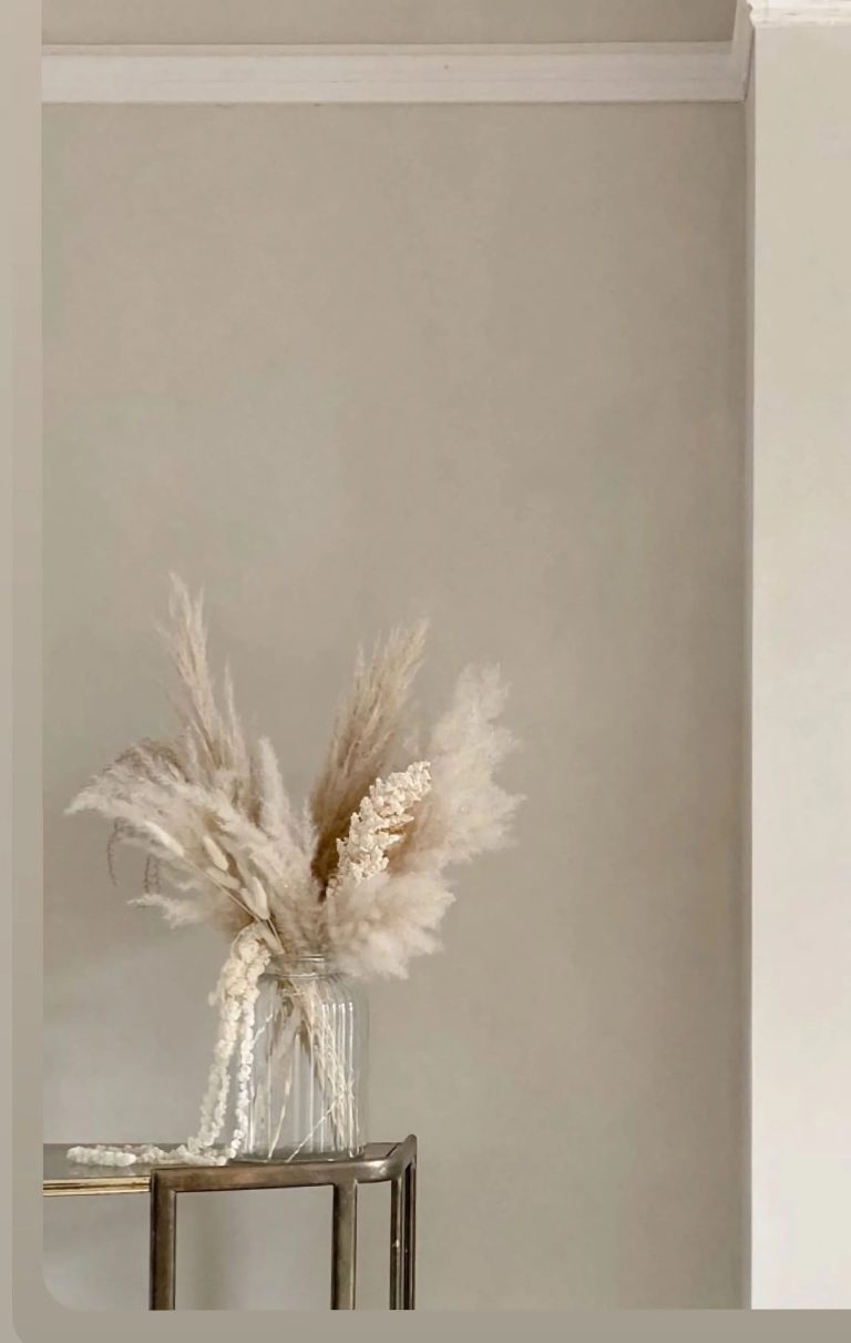 Transform Your Space with Expert Clay Finish Artistry in LA
