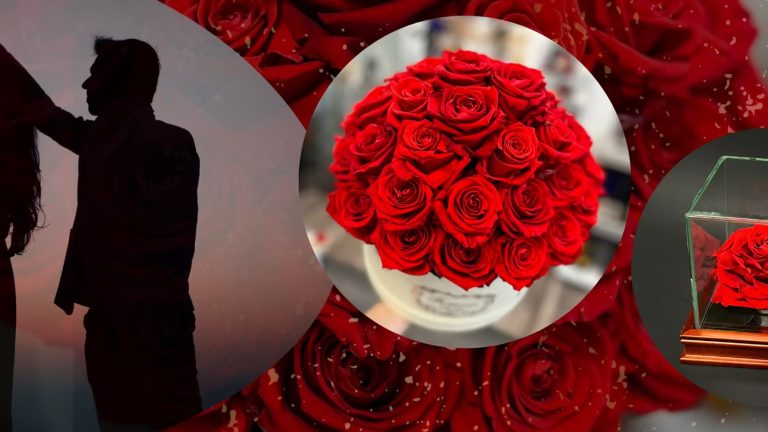 A Thoughtful Forever Rose Gift for a Loved One