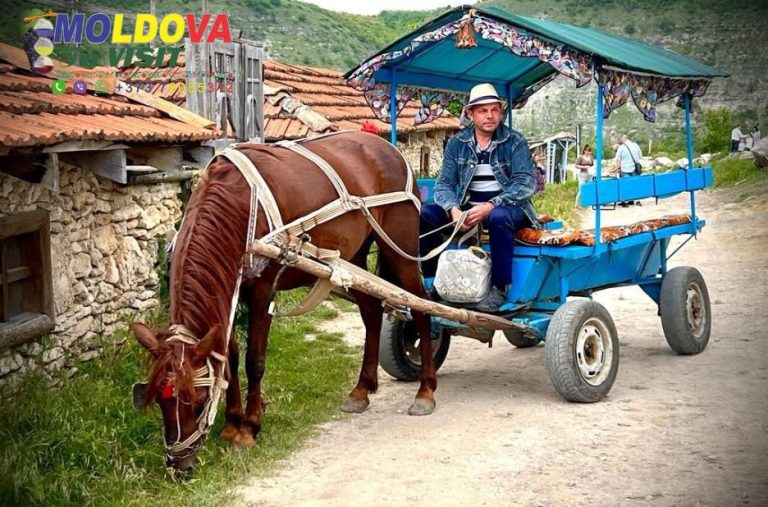 Discover Moldova: A Practical Travel Guide for Curious Explorers