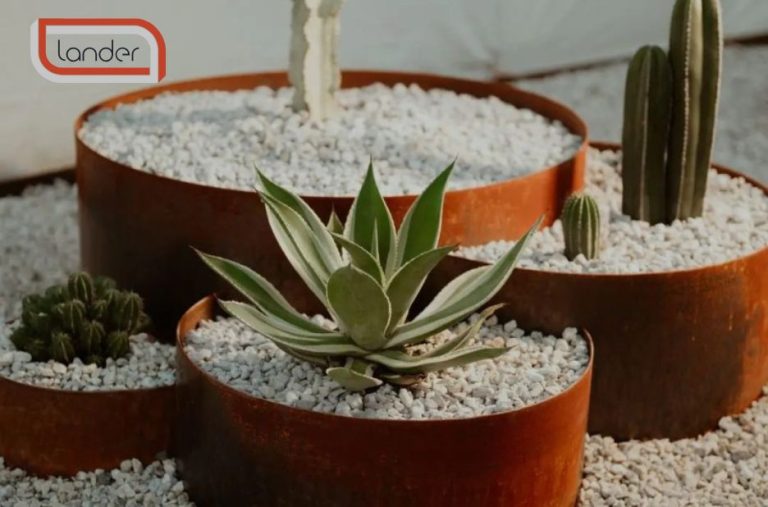 Durable garden rings: a modern steel solution for tidy plant borders