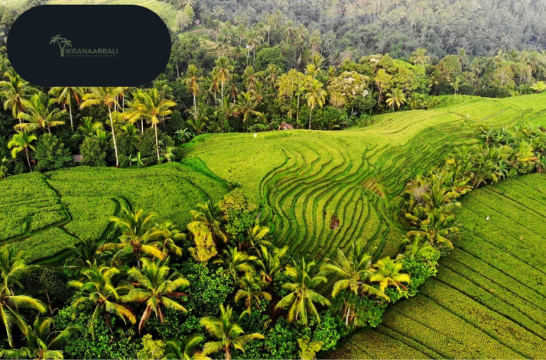 Plan Your Bali Adventure with an Easy Booking Pakket Online