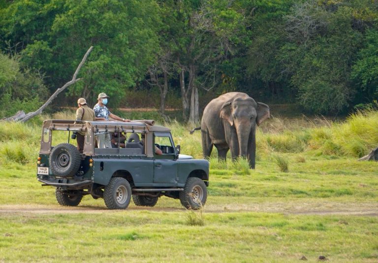 Indulgent Sri Lankan Escapes: Curated Luxury Journeys for You Indulgent Sri Lankan Escapes: Curated Luxury Journeys for You