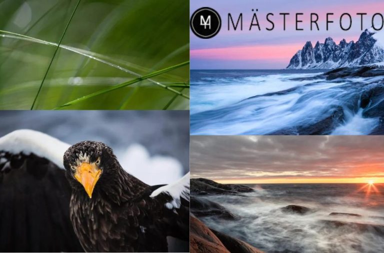 Bli bättre bakom kameran – inspirerande kurs i fotografi för alla nivåer