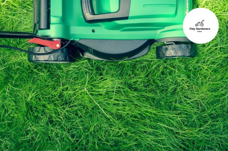 Practical weeding services in outdoor spaces