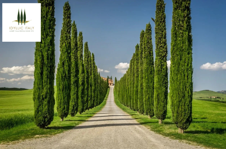 Luxurious escapes: Tuscany villa for discerning travelers Luxurious escapes: Tuscany villa for discerning travelers