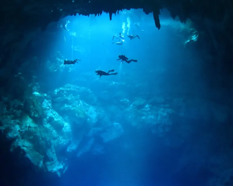 Exploring cenotes: practical guide for divers in Mexico