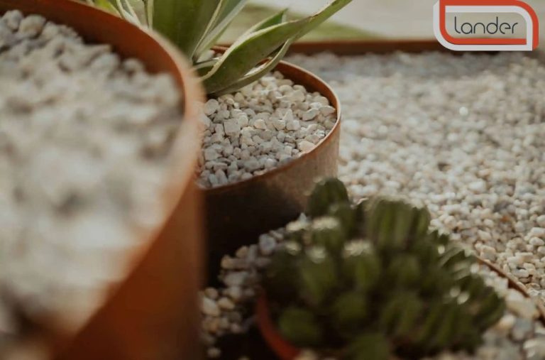 Transform Your Borders: Practical Ideas for Beautifully Defined Beds