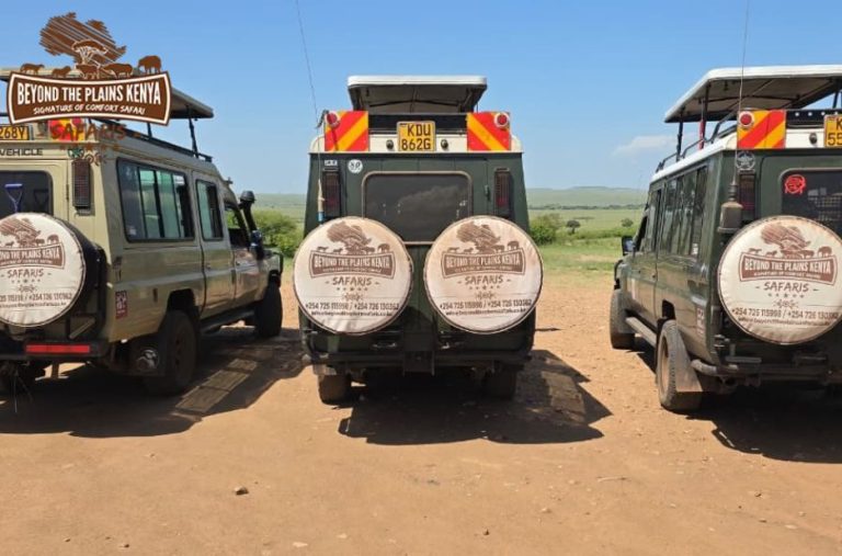 Crafting Unforgettable Journeys in East Africa