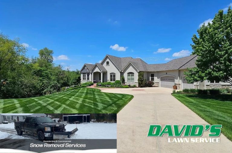 Efficient Winter Care for Minnesota Homes