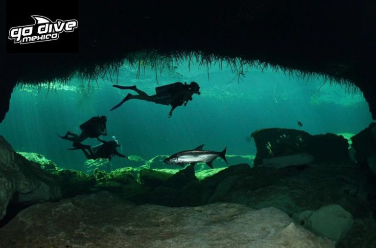 Cenote diving adventures in Mexico you’ll love