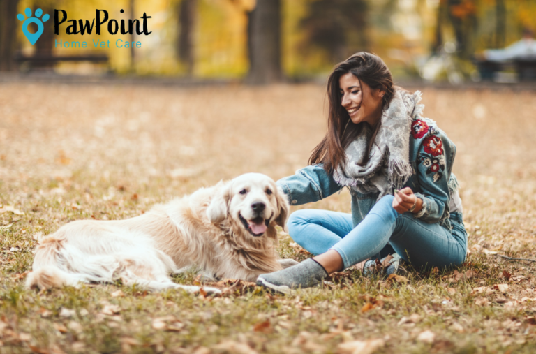 When faced with tough choices for a pet When faced with tough choices for a pet