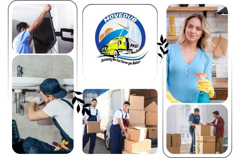 Expert Clogged Drain Repair Abu Dhabi Services for Fast and Reliable Drainage Solutions