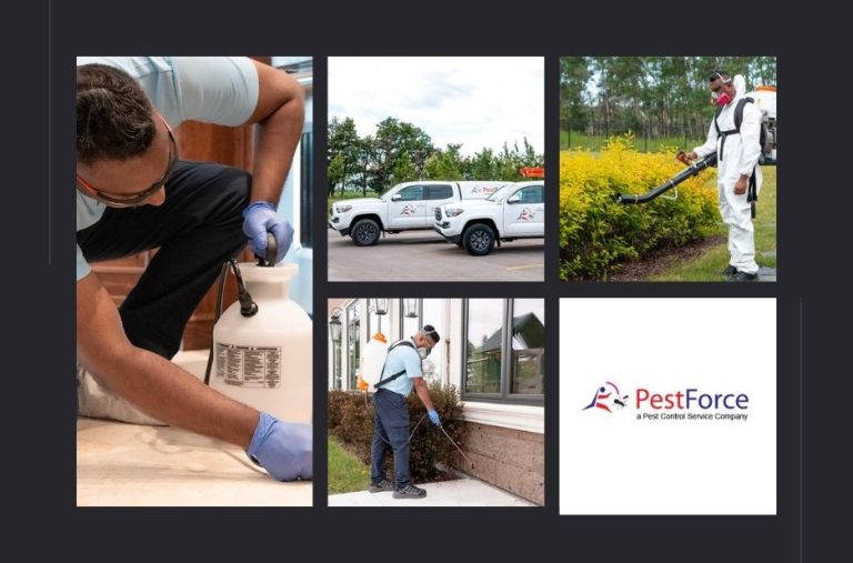 Effective Ant Control Calgary Solutions for Homes and Offices