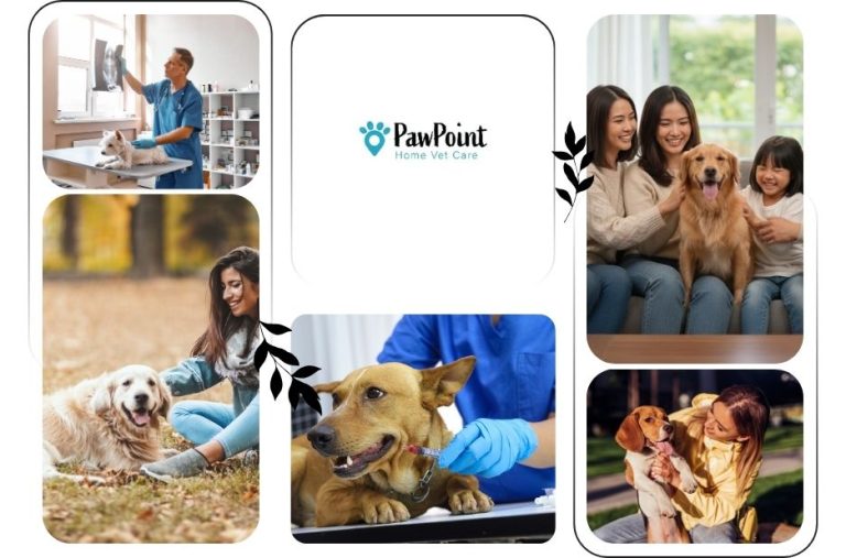 Compassionate Pet Euthanasia Near Me with Gentle and Professional Care