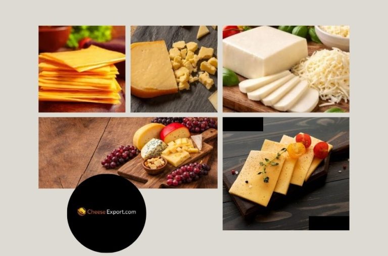 Top Cheddar Cheese Export Company for Premium Dairy Products and Reliable Global Shipping