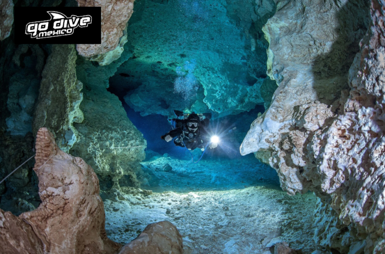 Dive Deep: A Practical Guide to Underwater Explorations Dive Deep: A Practical Guide to Underwater Explorations