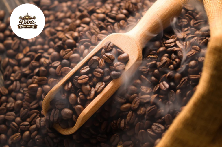 Discover Everyday Flavor with Balanced Brew Options