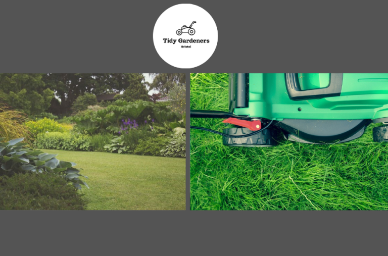 Reliable lawn care in Bristol for busy homeowners