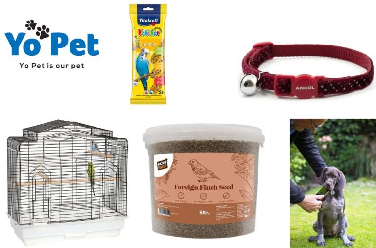 Buy Pet Keeper Plastic Tank Online UK – Premium Quality at Yopet.co.uk