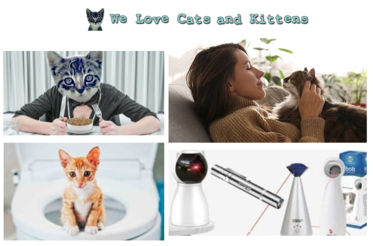 What catnip does to cats and growing with curiosity