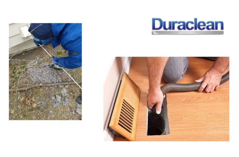 Expert Upholstery Cleaning in Rockford You Can Trust
