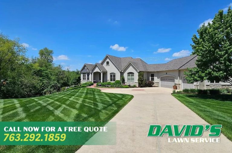 Professional Landscaping in Corcoran MN You Can Trust