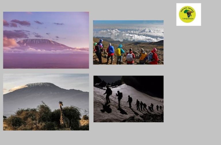 Plan Your Serengeti Adventure with Confidence
