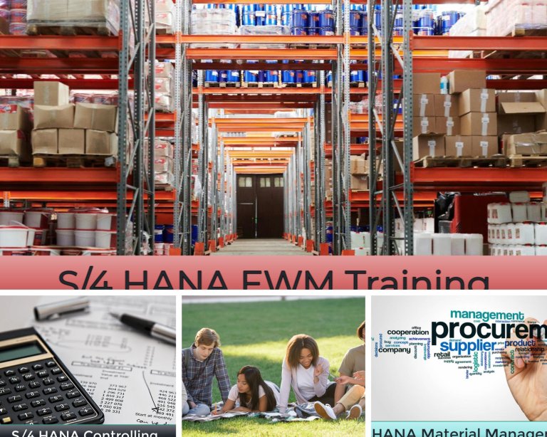 Master SAP SD: Practical Guide to Sales and Distribution