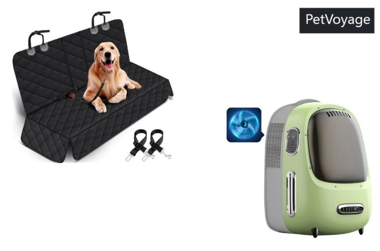 Choosing the Right Pet Travel Options Across North America