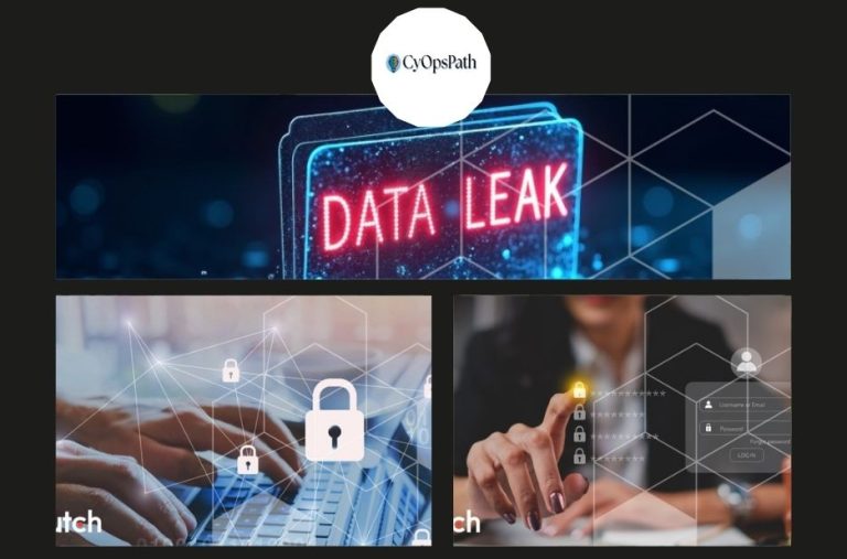 Exploring Opportunities in U.S. Accounting Roles