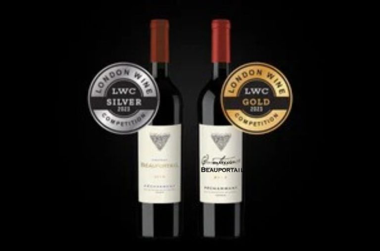Acheter du vin millésimé en ligne : guide complet pour choisir et commander vos crus d’exception