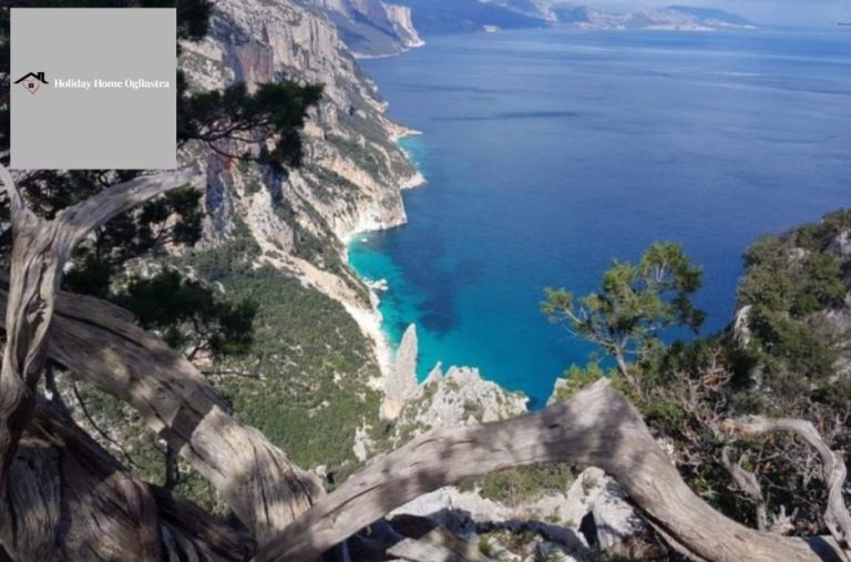 Scopri i Migliori Alloggi in Ogliastra per una Vacanza Indimenticabile