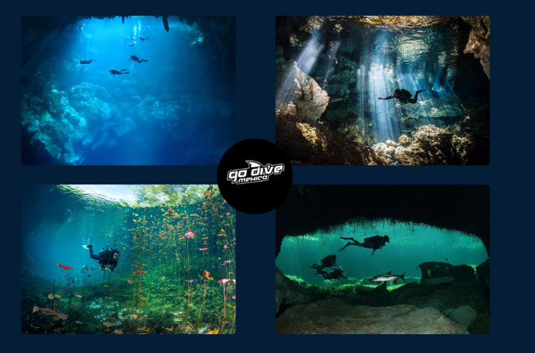 Unveiling Hidden Underwater Worlds: A Guide to Cenote Cave Exploration Unveiling Hidden Underwater Worlds: A Guide to Cenote Cave Exploration