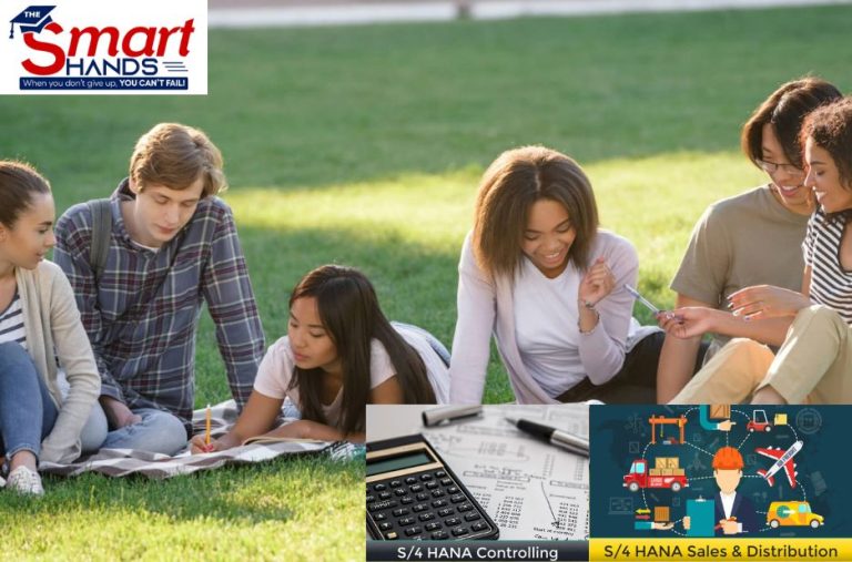 Elevate Your SAP Skills with Practical Pp and CRM Training