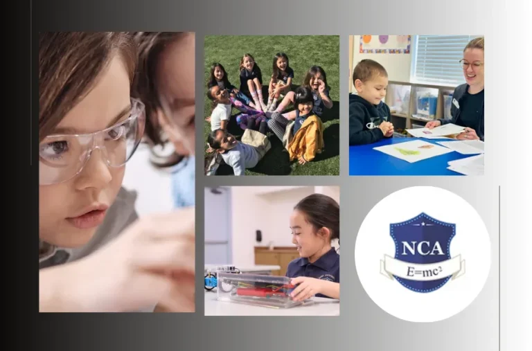 Merit Scholarship School Opportunities for Academic Excellence and Affordable Education
