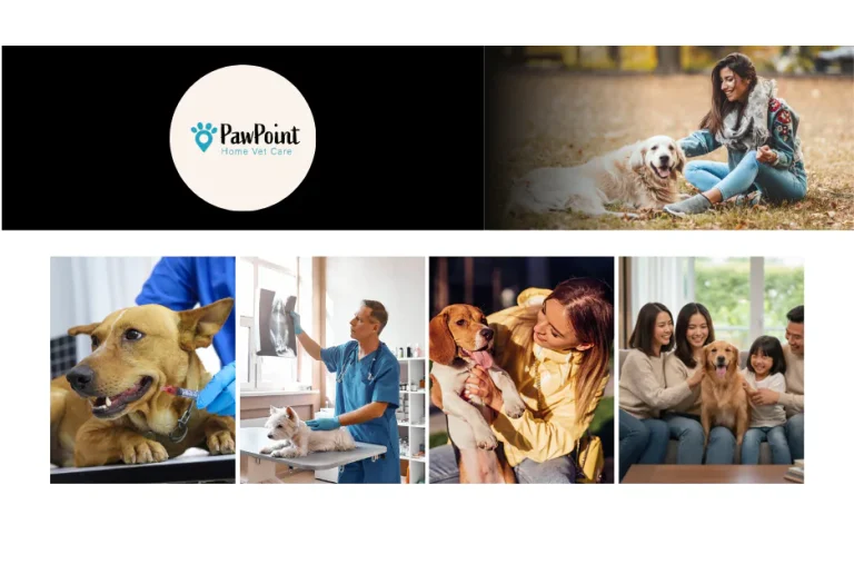 Compassionate Calgary Pet Euthanasia Services for Peaceful In-Home Goodbyes