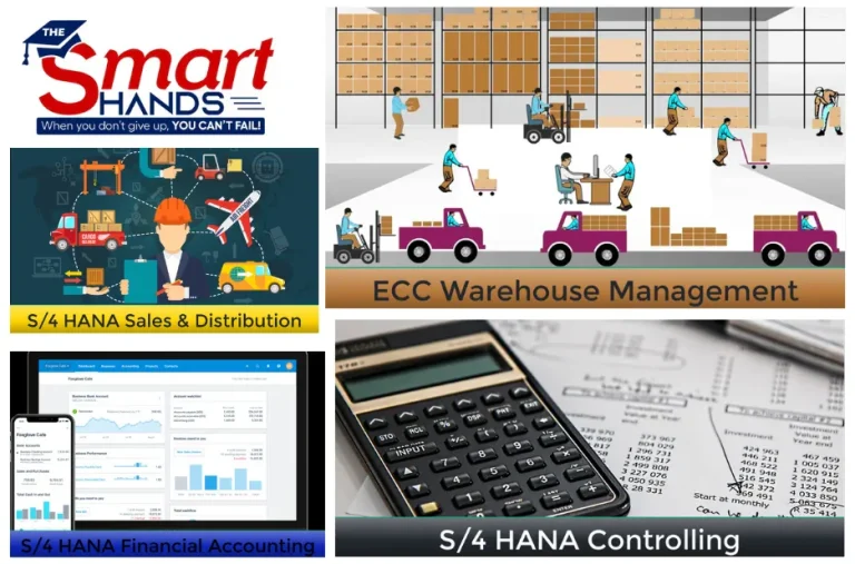 Master SAP SD Course Online – Become a Certified Sales and Distribution Expert