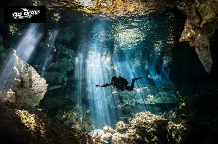 Ultimate Guide to Cavern Diving: Explore Mexico’s Stunning Underwater Caves Ultimate Guide to Cavern Diving: Explore Mexico’s Stunning Underwater Caves