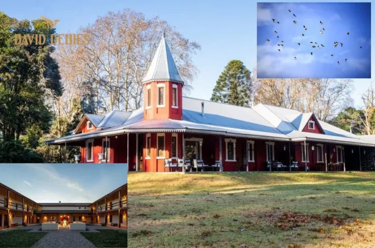 Best Dove Shooting Lodges in Argentina for Luxury Hunting Experiences