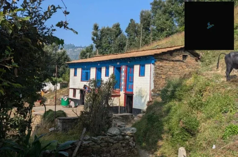 Explore Binsar Forest Trails: Ultimate Guide to Scenic Walks and Nature Adventures