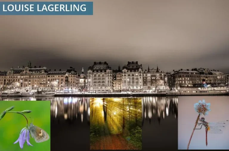 Samtalsterapeut Stockholm – Professionell hjälp för bättre psykisk hälsa