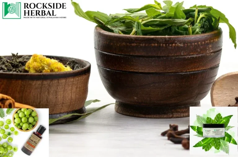 Discover the Benefits of Natural Herbal Ayurvedic Products for Health and Wellness
