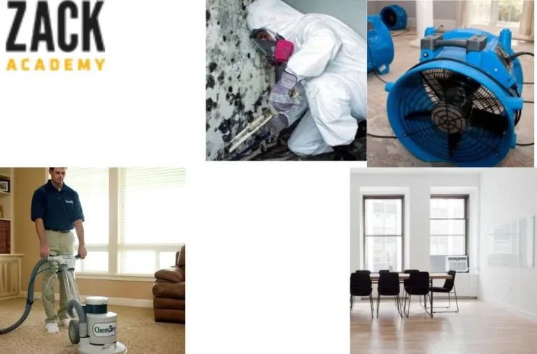 IICRC Mold Remediation Certification: Expert Training for Effective Mold Removal